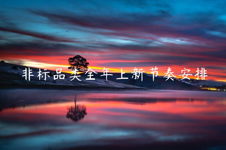 非標(biāo)品類全年上新節(jié)奏安排